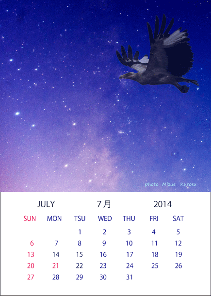 ７月のカレンダー　天の川とヤシハゲワシ