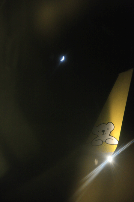 帰りの飛行機　白くまのロゴと月