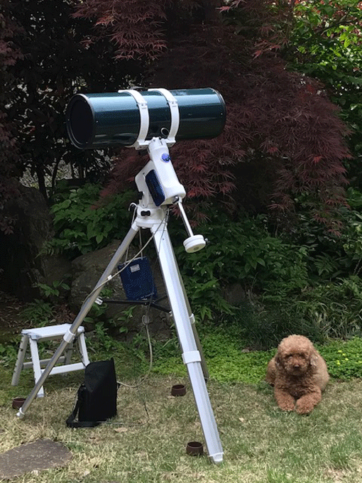 やっと使い始めたSX赤道儀、反射望遠鏡。