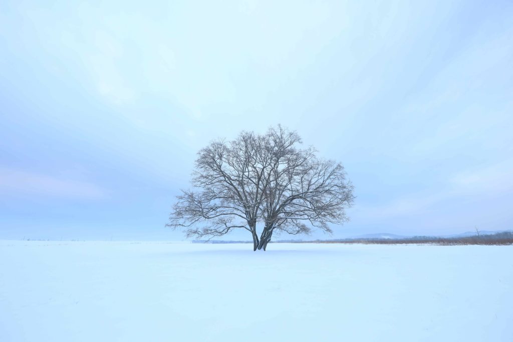 目標は「ハルニレと天の川」撮影旅行1日目は、ロケハン